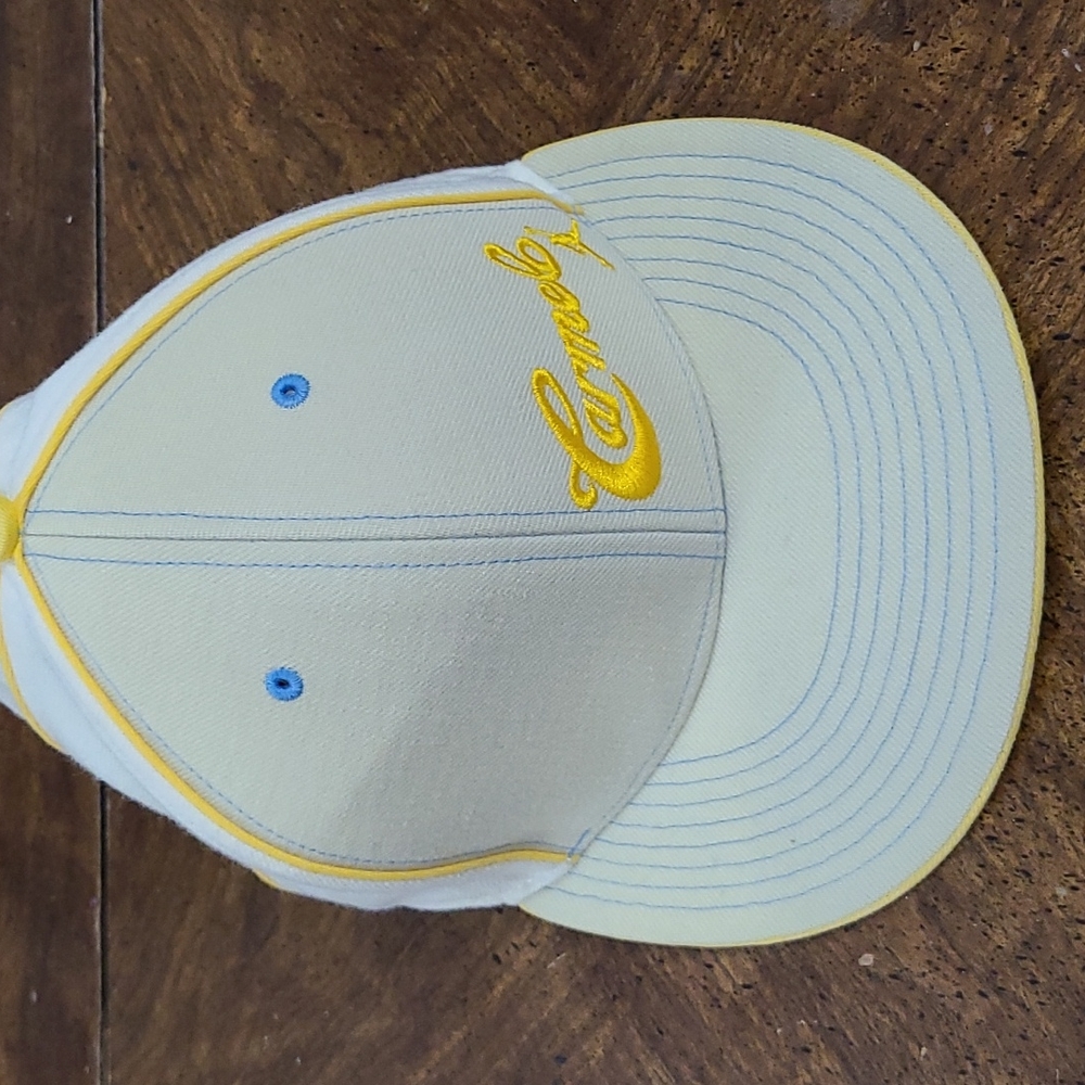 AIR JORDAN CARMELO HAT